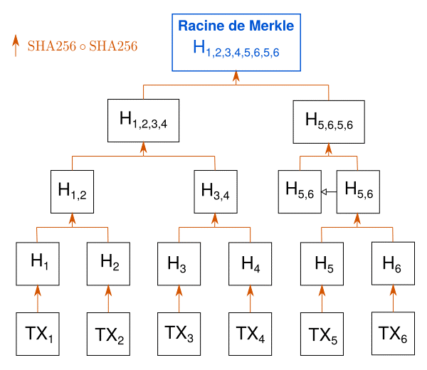 The Merkle Tree